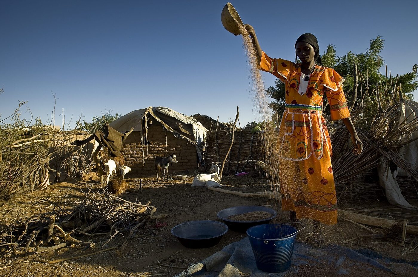 Direct Focus Média — Plus de 932 000 réfugiés soudanais : N'Djamena relance son plaidoyer international